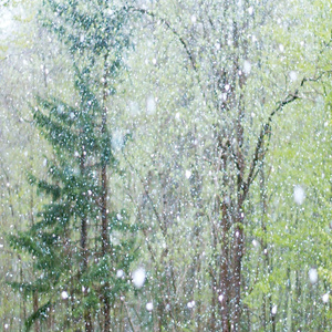 日本男同性恋色情在线视频
